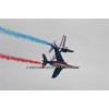 Sion 2011-305