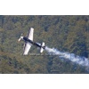 Dittingen 2011-059