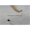 Belp 2011-028