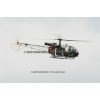 Belp 2011-046