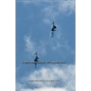 Belp 2011-050
