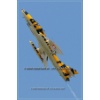 Belp 2011-056