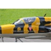 Mollis 2011-027