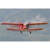 Mollis 2011-046