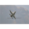 Mollis 2011-079