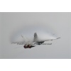 Mollis 2011-086
