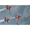 Mollis 2011-194