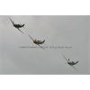 Duxford 2012-180