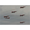 Birrfeld 120824-0284