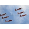 Birrfeld 120824-0901