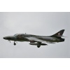 Birrfeld 120824-1041