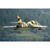 ORIS Flyin 2013-055 Kopie