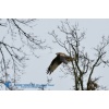 Emmen 140118-021