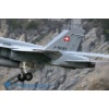Meiringen 140428-004