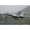 Meiringen 140428-005