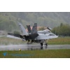 Meiringen 140428-008