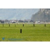 Meiringen 141023-008