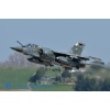 Mirage F1-025