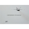 Epervier 2012-059