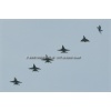 Epervier 2012-069