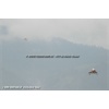 Lauberhorn 2011-085