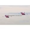 Emmen 111213-014