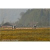 Meiringen 110426-020