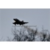 Wittmund 2011-049