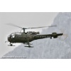 Goodbye Alouette 2010-001
