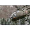 Goodbye Alouette 2010-003