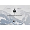 Goodbye Alouette 2010-007