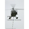 Goodbye Alouette 2010-009