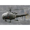 Goodbye Alouette 2010-011