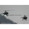 Goodbye Alouette 2010-012