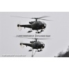 Goodbye Alouette 2010-013