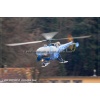 Goodbye Alouette 2010-017