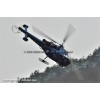 Goodbye Alouette 2010-019