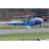 Goodbye Alouette 2010-022