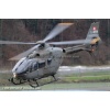 Goodbye Alouette 2010-027
