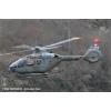 Goodbye Alouette 2010-028