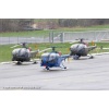 Goodbye Alouette 2010-030