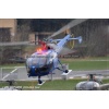 Goodbye Alouette 2010-036
