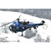 Goodbye Alouette 2010-037