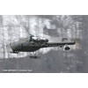 Goodbye Alouette 2010-041