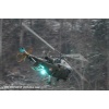 Goodbye Alouette 2010-043
