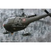 Goodbye Alouette 2010-045