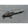 Goodbye Alouette 2010-046