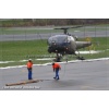 Goodbye Alouette 2010-047