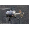 Goodbye Alouette 2010-048