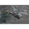 Goodbye Alouette 2010-049